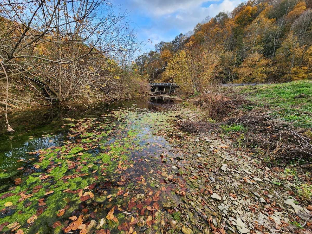 Easement Access to creek on tract #5