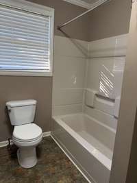 Tub/Shower Combo in hall bath