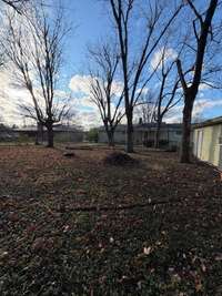 Another view of large back yard