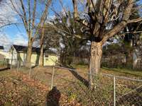 View of the 2nd portion of fenced yard