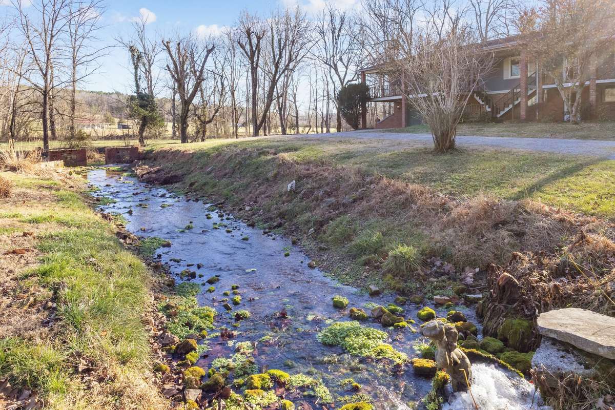 Spring water / Creek in front yard
