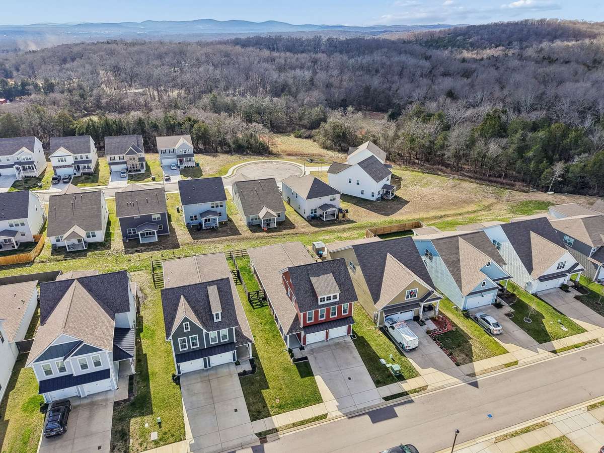 Drone view of Walsham Drive.