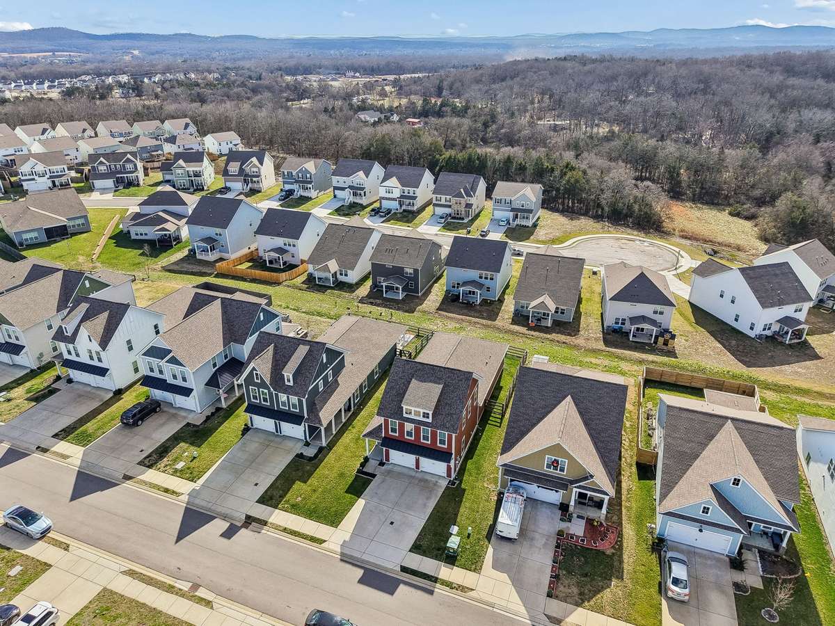 Drone view of Walsham Drive.