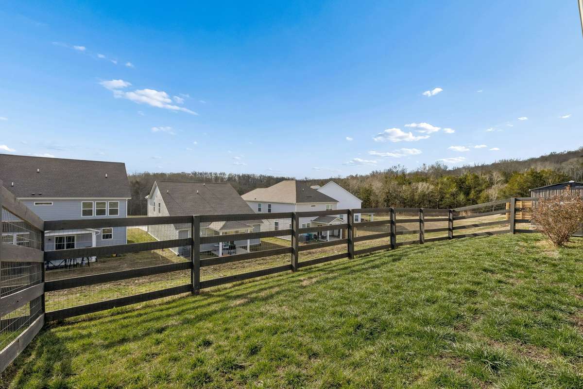 Fenced backyard