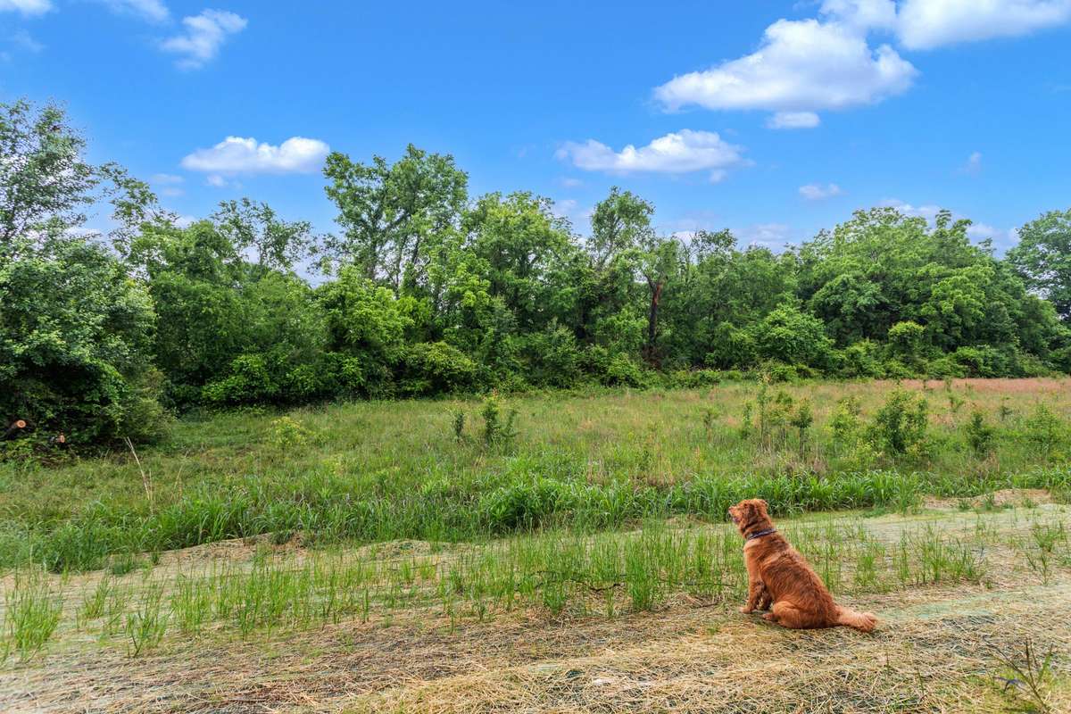 Who wouldn't love sitting and enjoying the view from lot 3?!