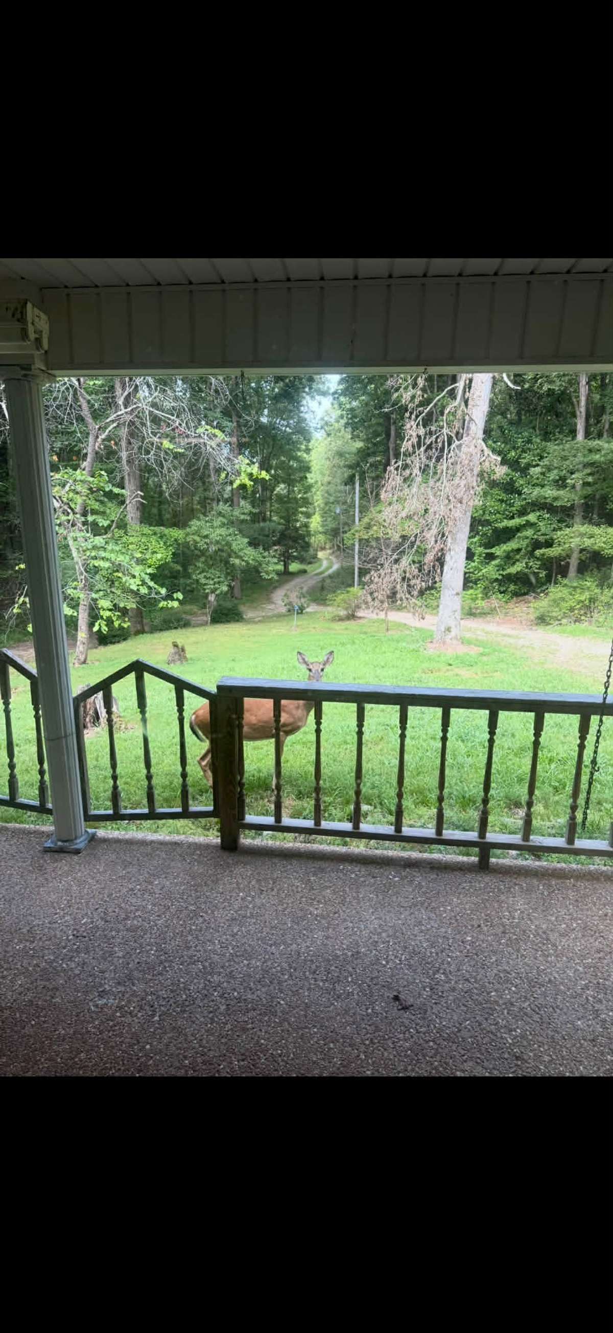 Pictures the Seller took last Summer. So Much Amazing wildlife.