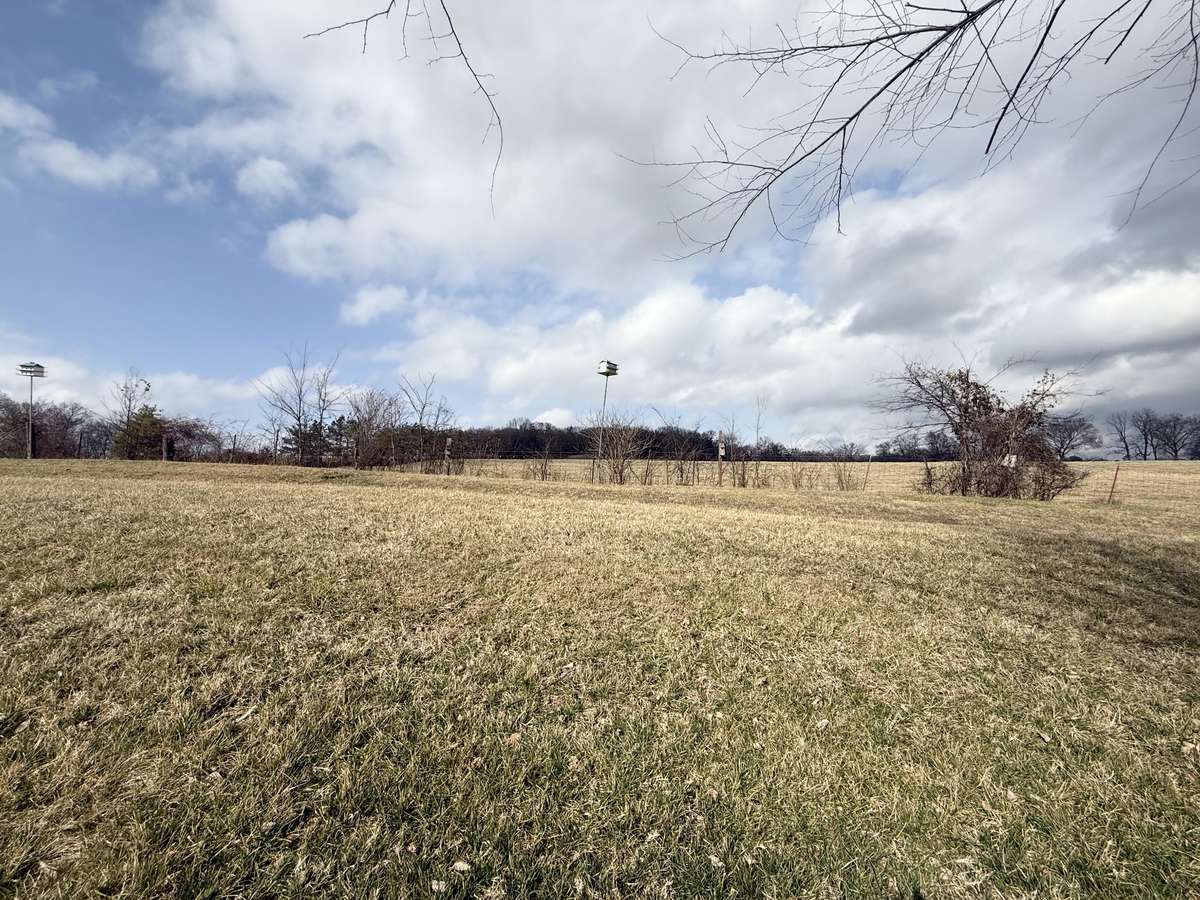 Backyard--no neighbors behind the property