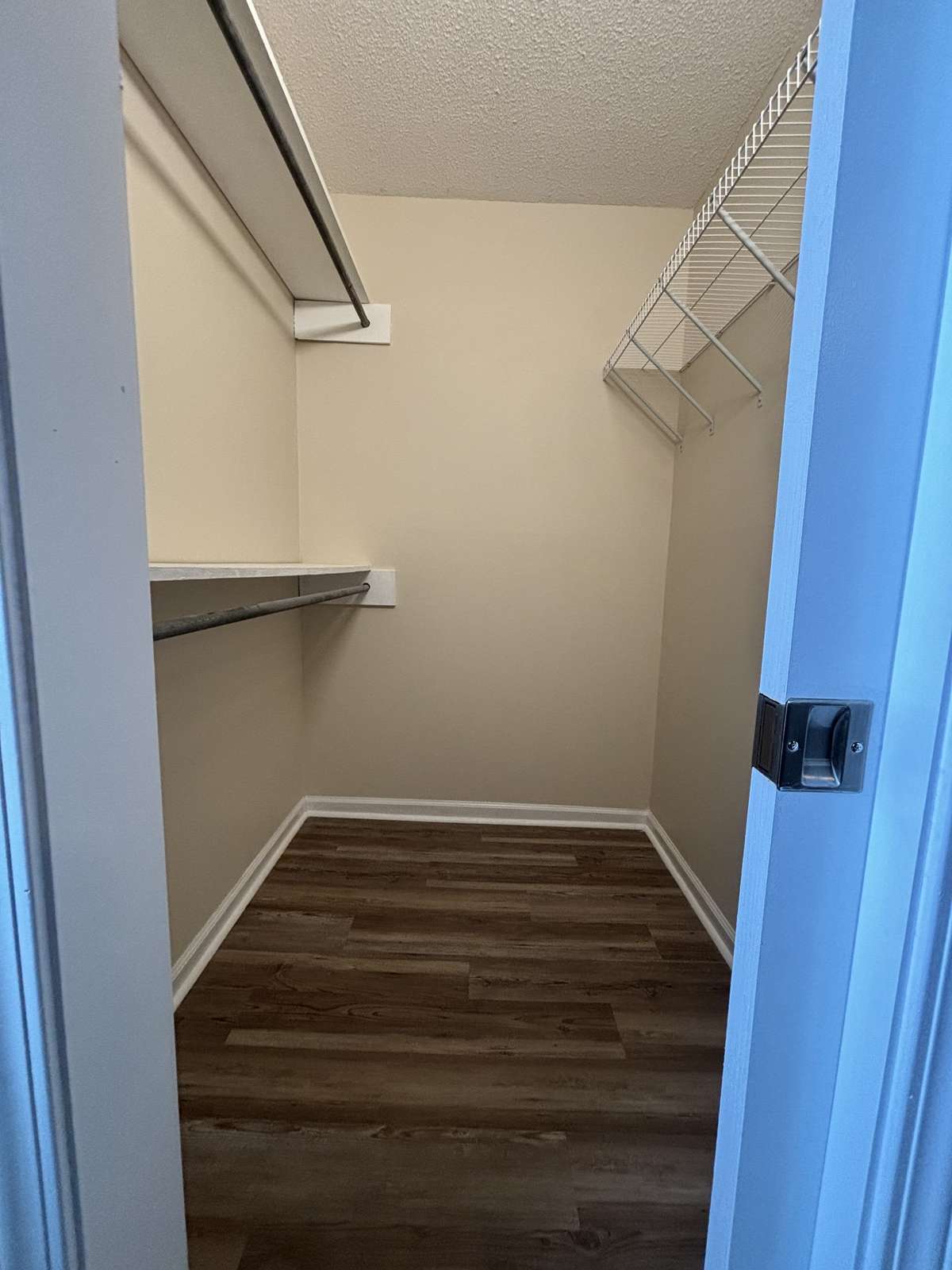 Large Lighted Walk-in closet in Primary Bedroom has Pocket Door