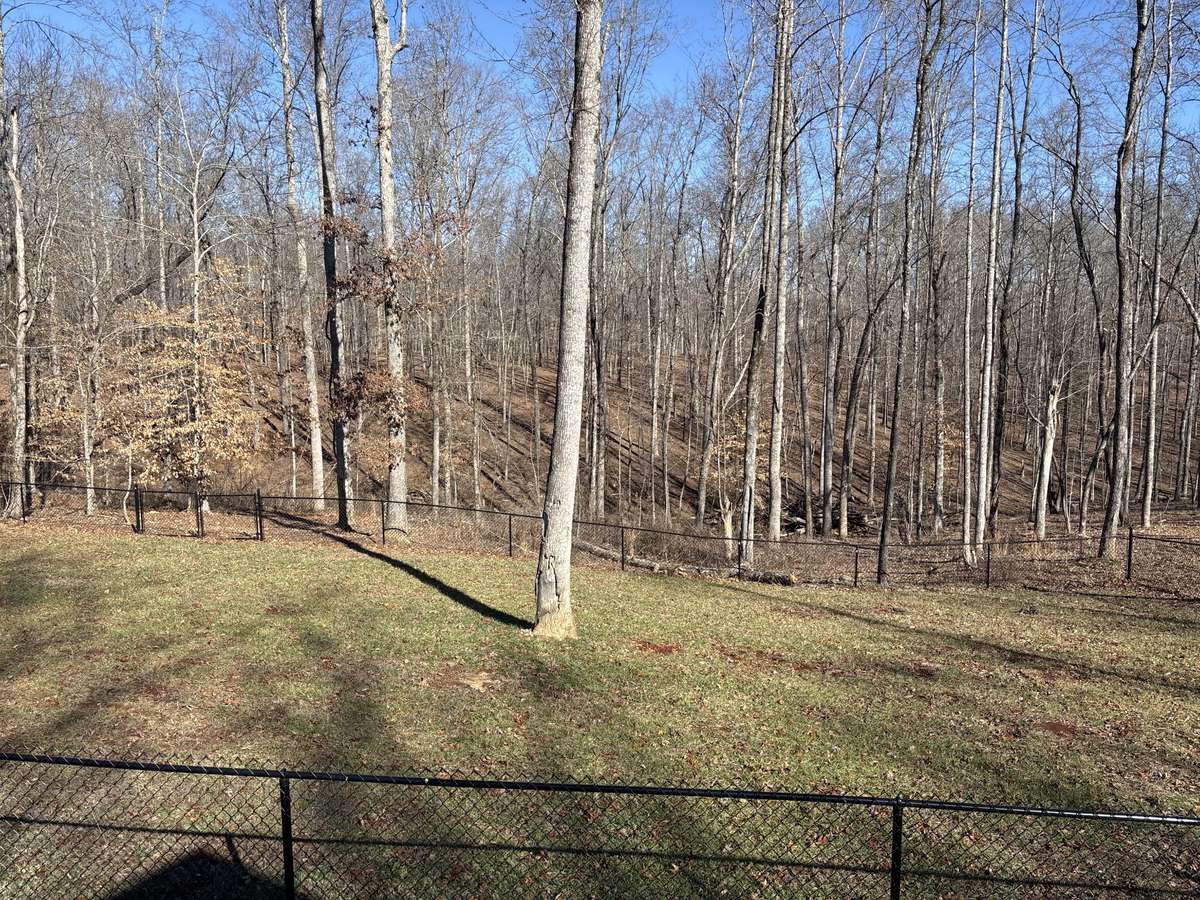 Large Fenced Back Yard