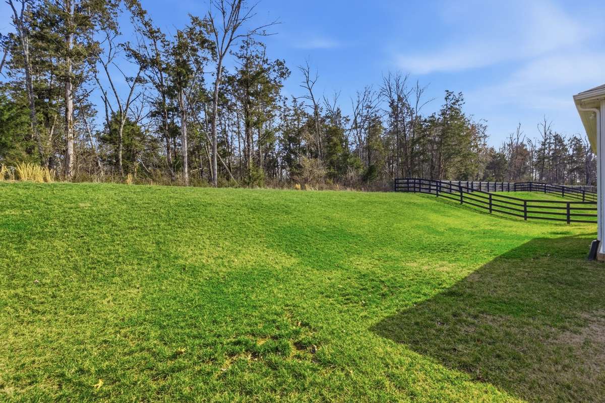 Imagine backing to a tree line and farm area.  Enjoy a quiet evening on the back porch listening to the rain or sounds of nature.