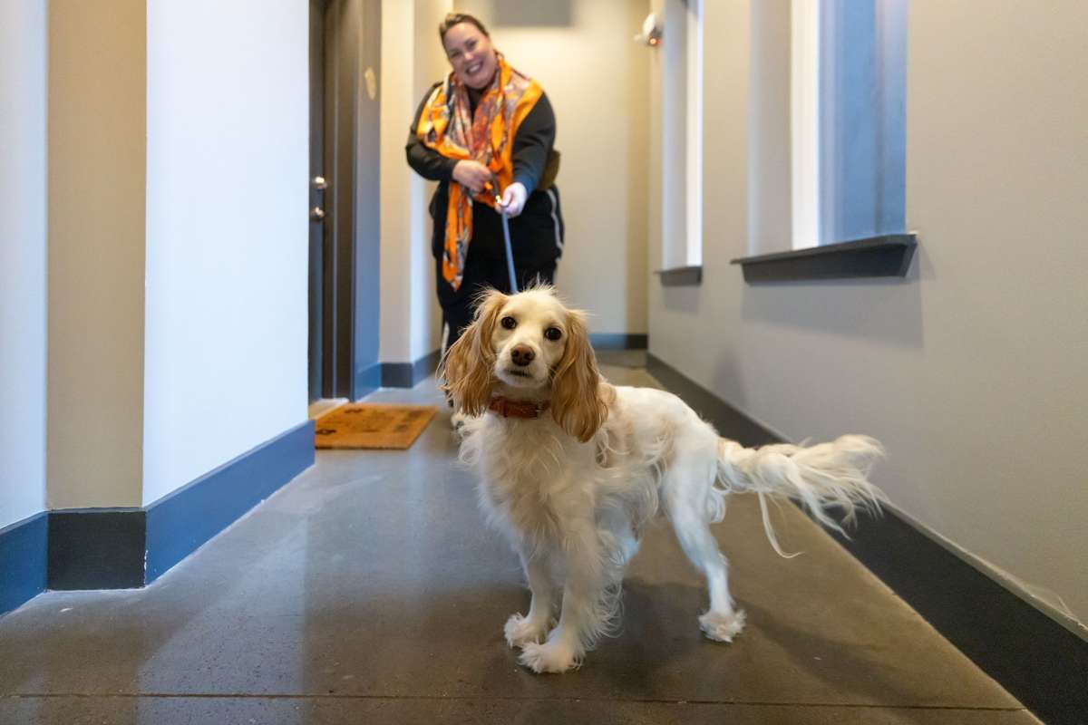 Silo West is a dog-friendly building and is walkable to Urban Dog Bar, the Greenway, and other walkable, dog-friendly spots.