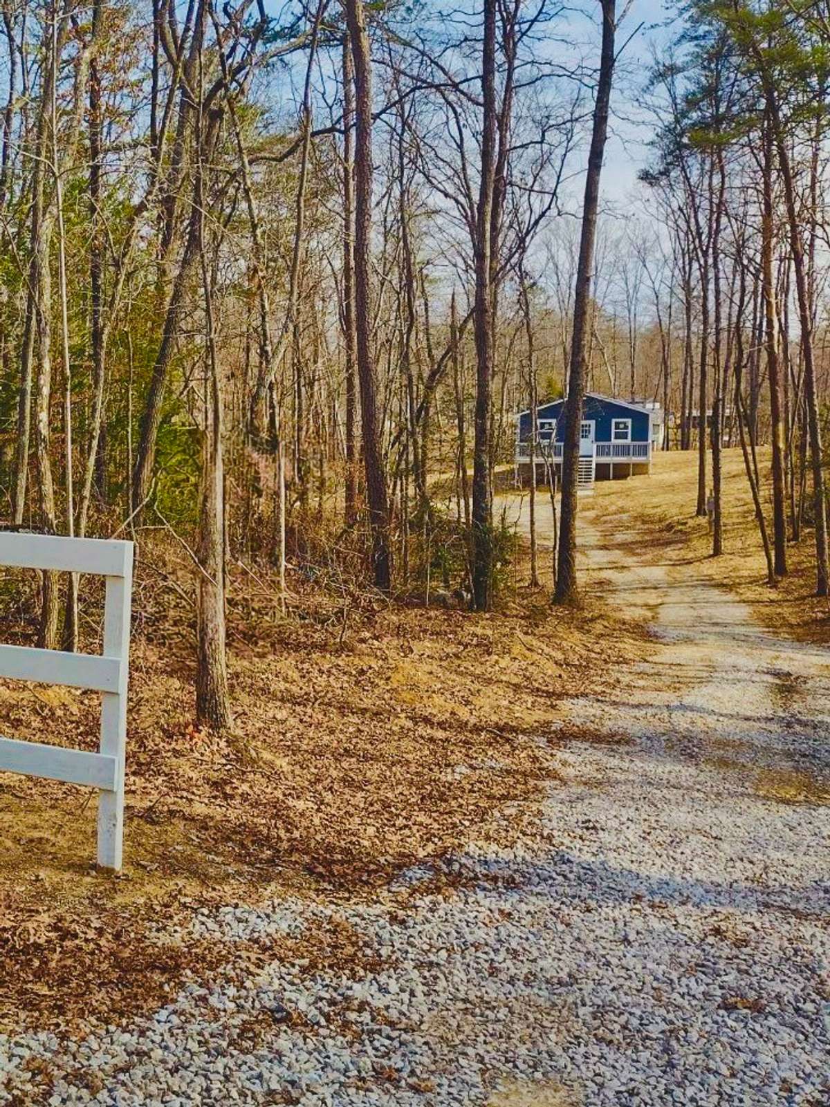 “Little cabin in the woods”