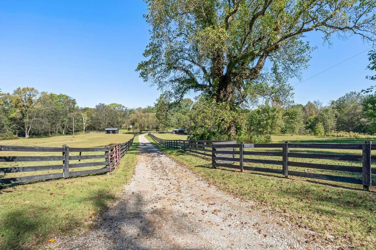 Drive into the property.