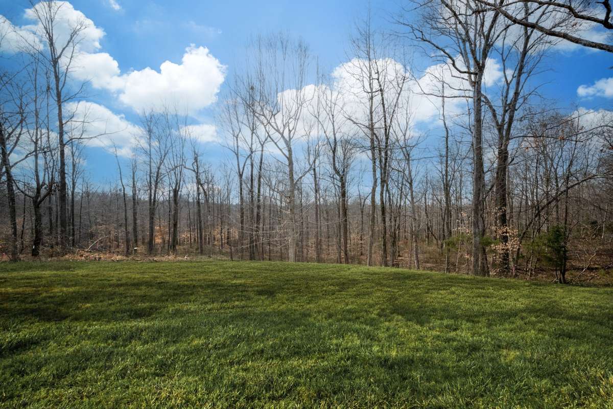Your Own Park-Like Paradise Awaits....Back is Mostly Woods but A Couple Days w/ Dozer could clear Trails + Open More Land
Note: Green Grass Edits on all Exterior Photos