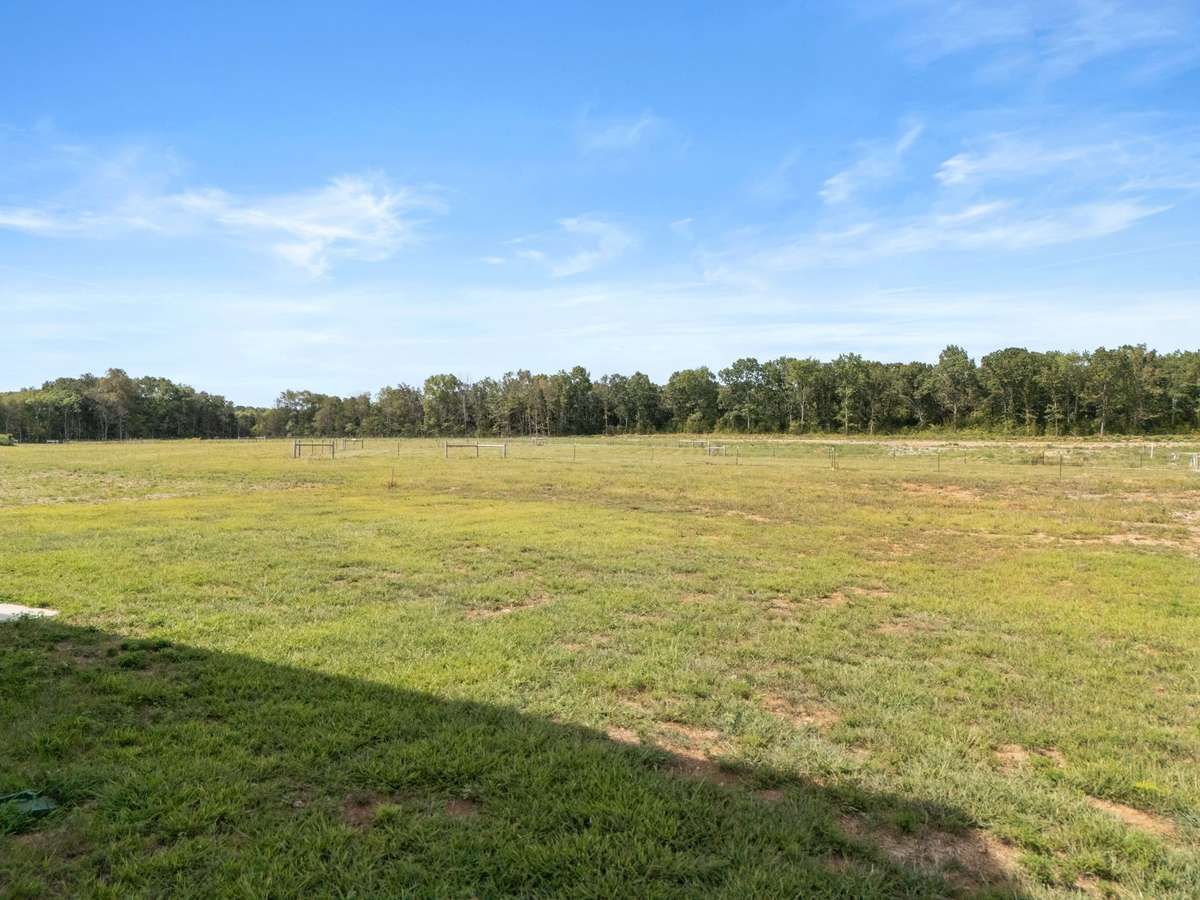 View of backyard