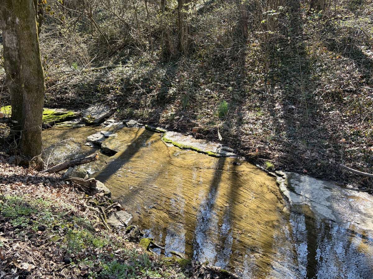 Enjoy peaceful sounds of the creek as you relax outside