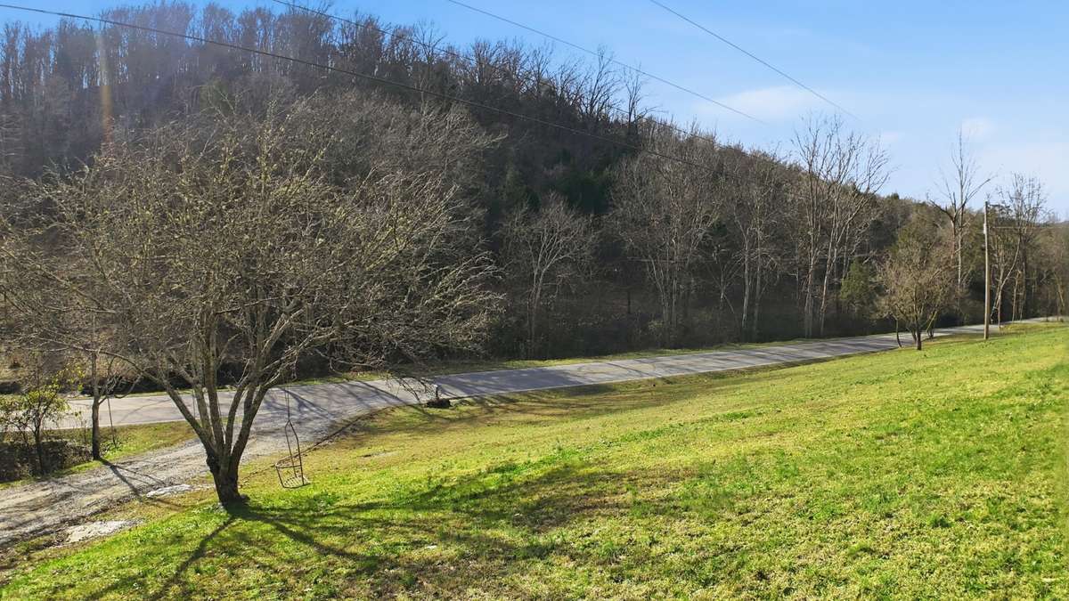 View of the front lawn and serene hillside.