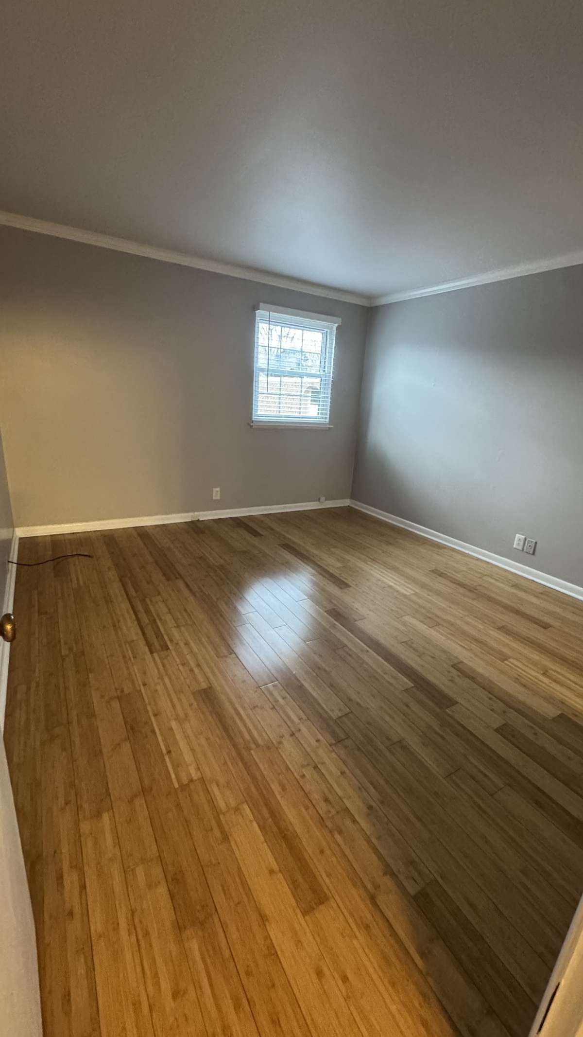 The Bedroom is spacious at 13'2" x 12'2" with a view of the pool and a great walk-in / walk-thru closet leading to the bathroom.