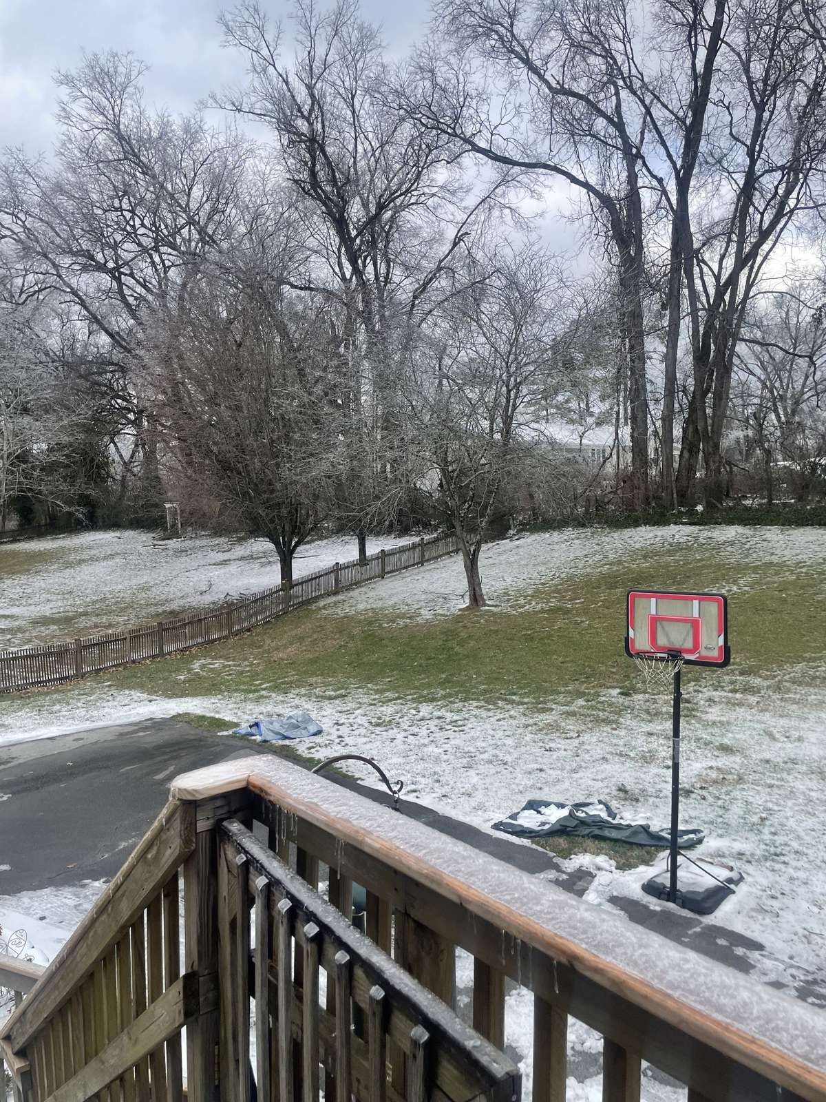 ANOTHER LOOK - WINTER
