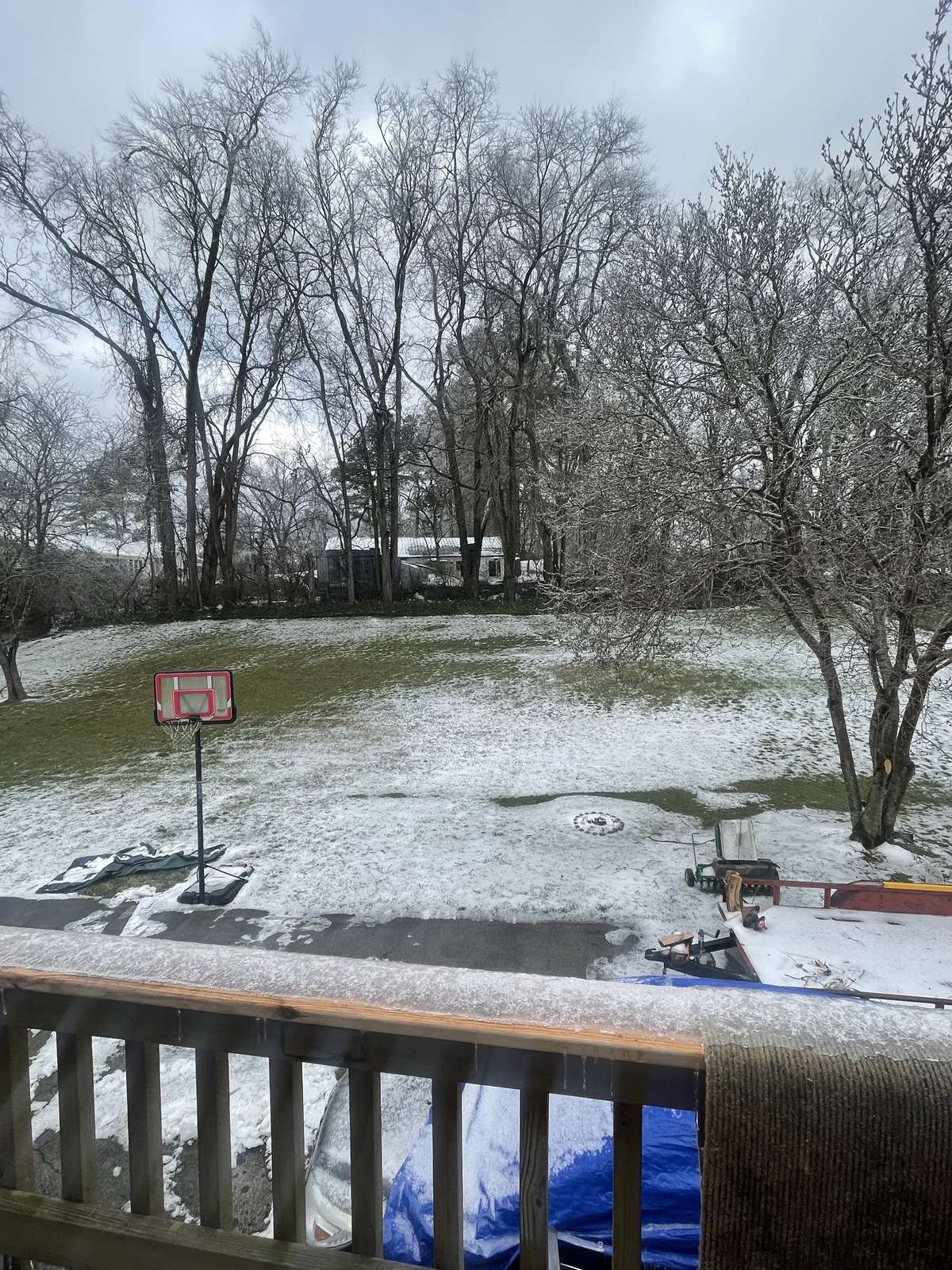 THE BACKYARD IS SO ROOMY!! WINTER!!