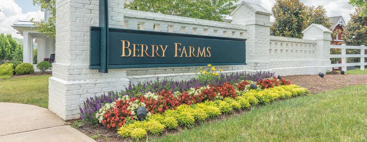 Highly sought after Berry Farms neighborhood.  Gives you the opportunity for luxury living and the ability to have a walkable lifestyle.  Walk to restaurants, the grocery store, nail spa, and more.