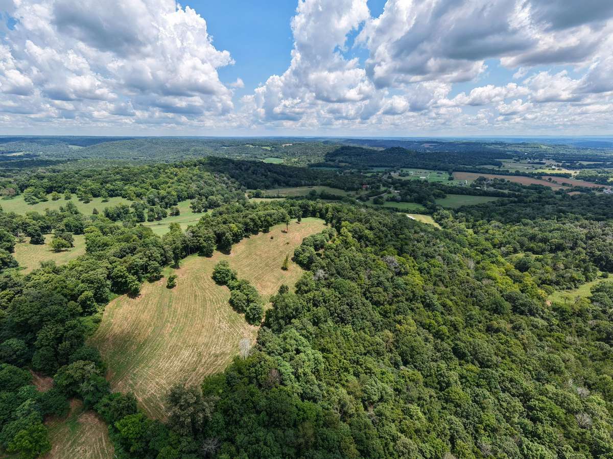 Aerial view of the property showing open pasture, wooded acreage, and primary improvements within the 164± acre tract.