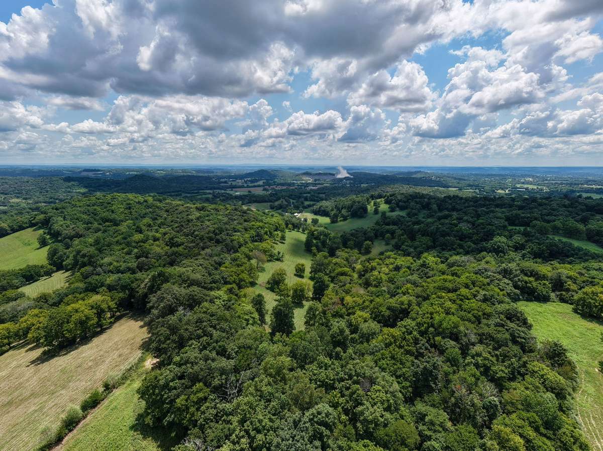Aerial view of the property showing open pasture, wooded acreage, and primary improvements within the 164± acre tract.