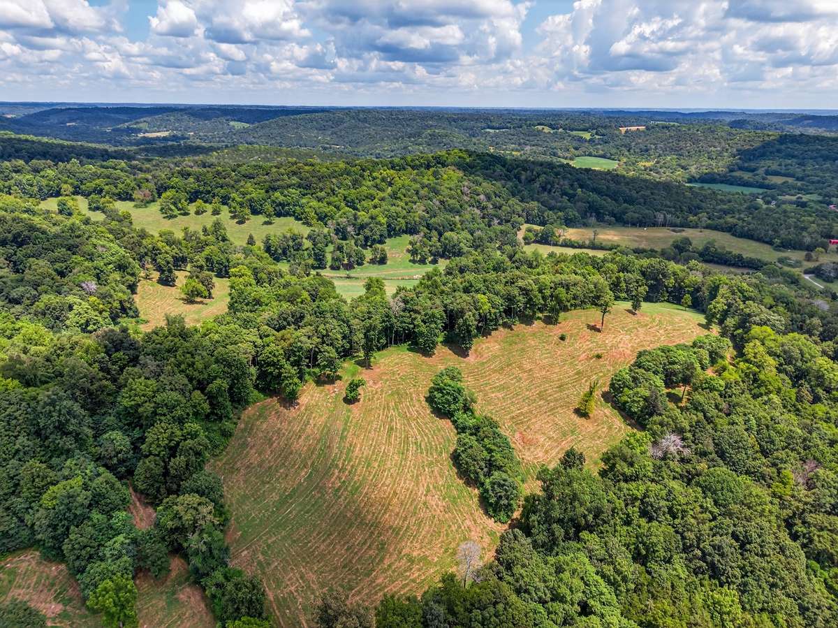 Aerial view of the property showing open pasture, wooded acreage, and primary improvements within the 164± acre tract.