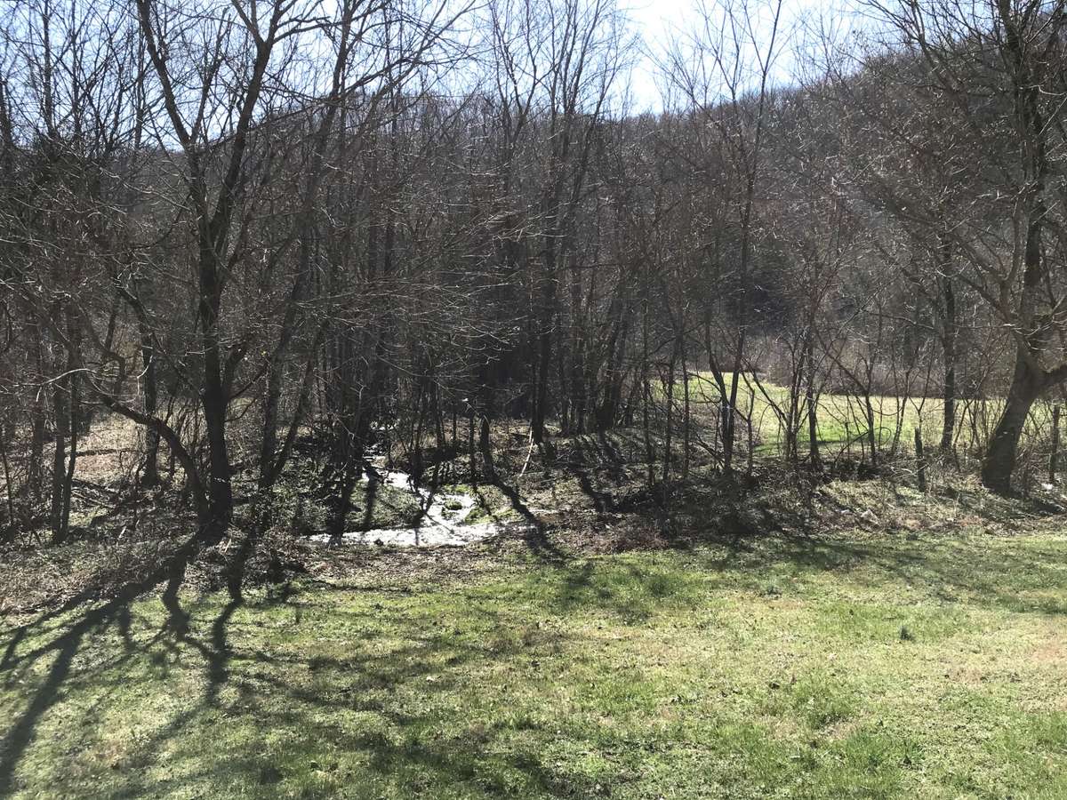 Entrance to Dismal Hollow over stream
