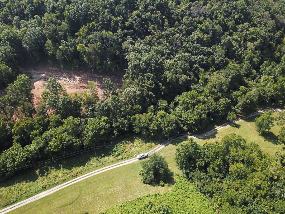 Dismal Hollow on left (wooded)