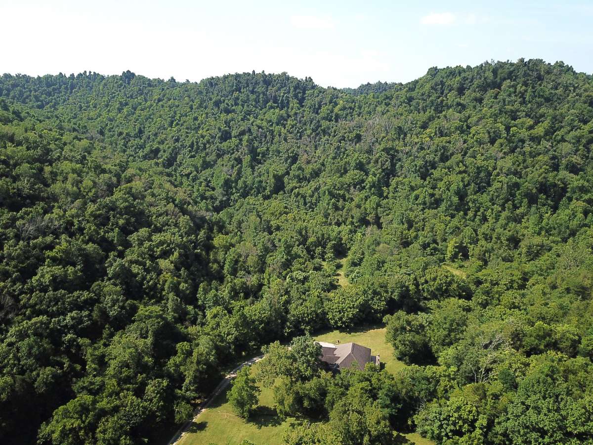 Dismal Hollow (wooded) neighbors home in picture