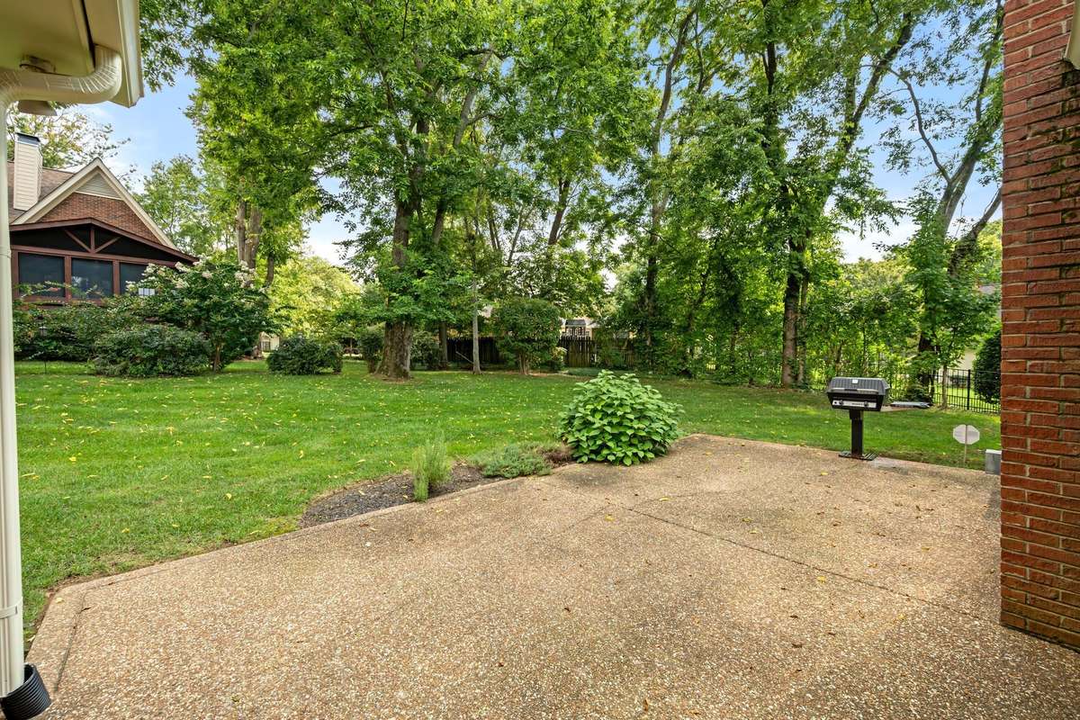 Patio & Back Yard
