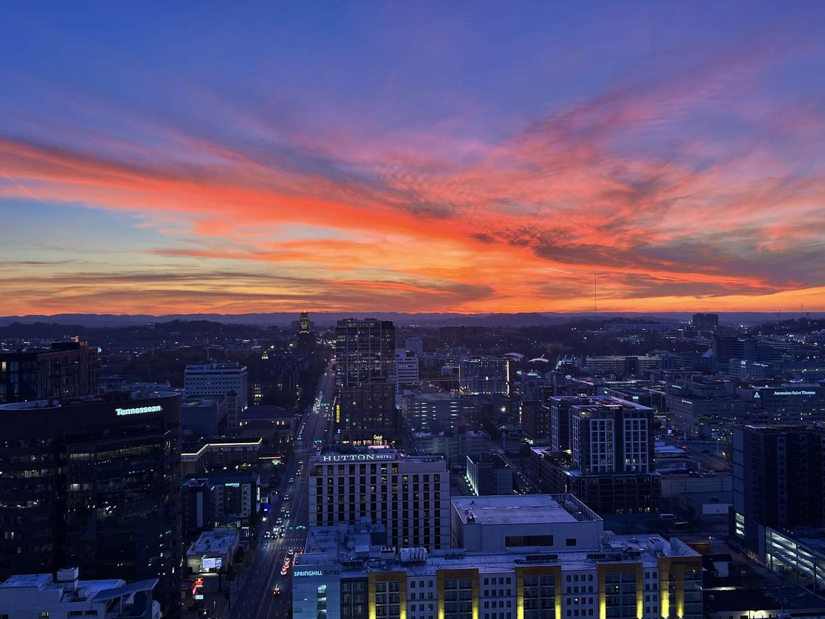 view