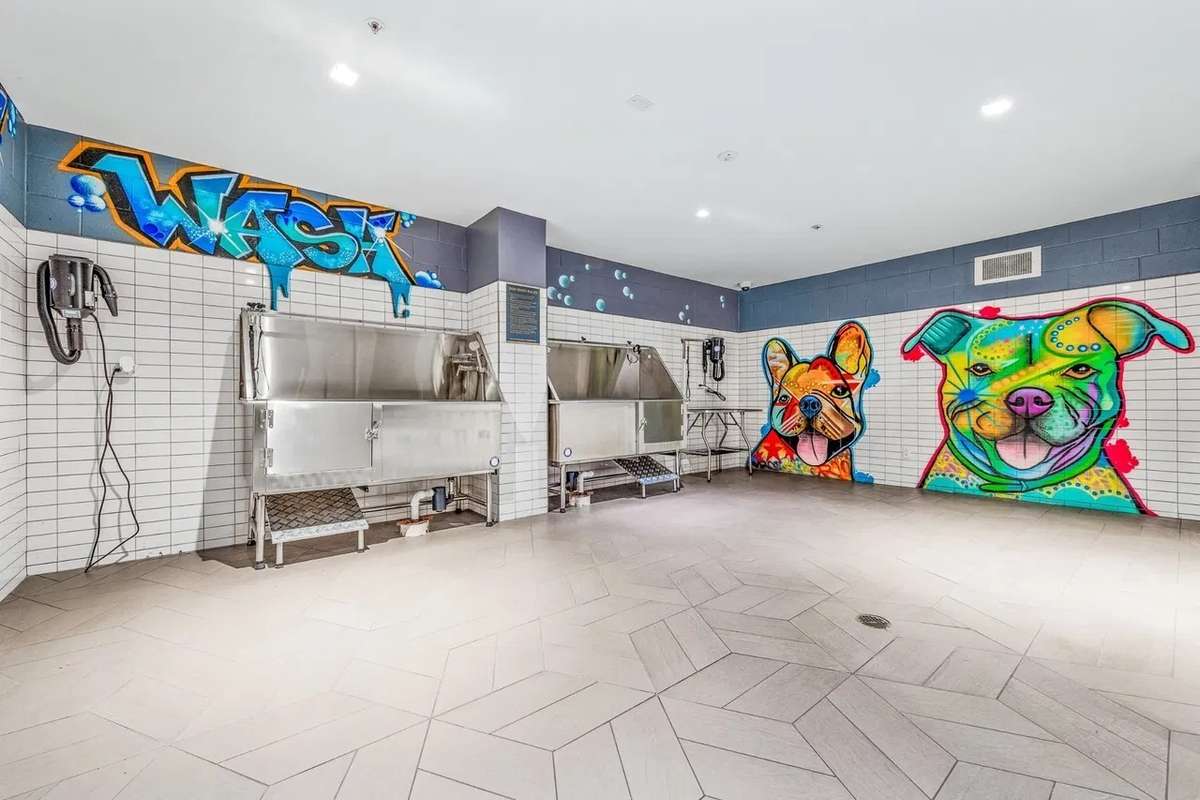 dog wash in basement