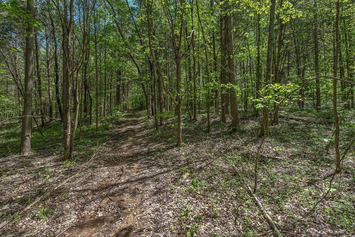 ATV Trails throughout property
