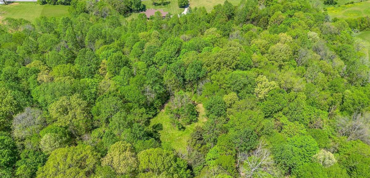 Acreage behind house