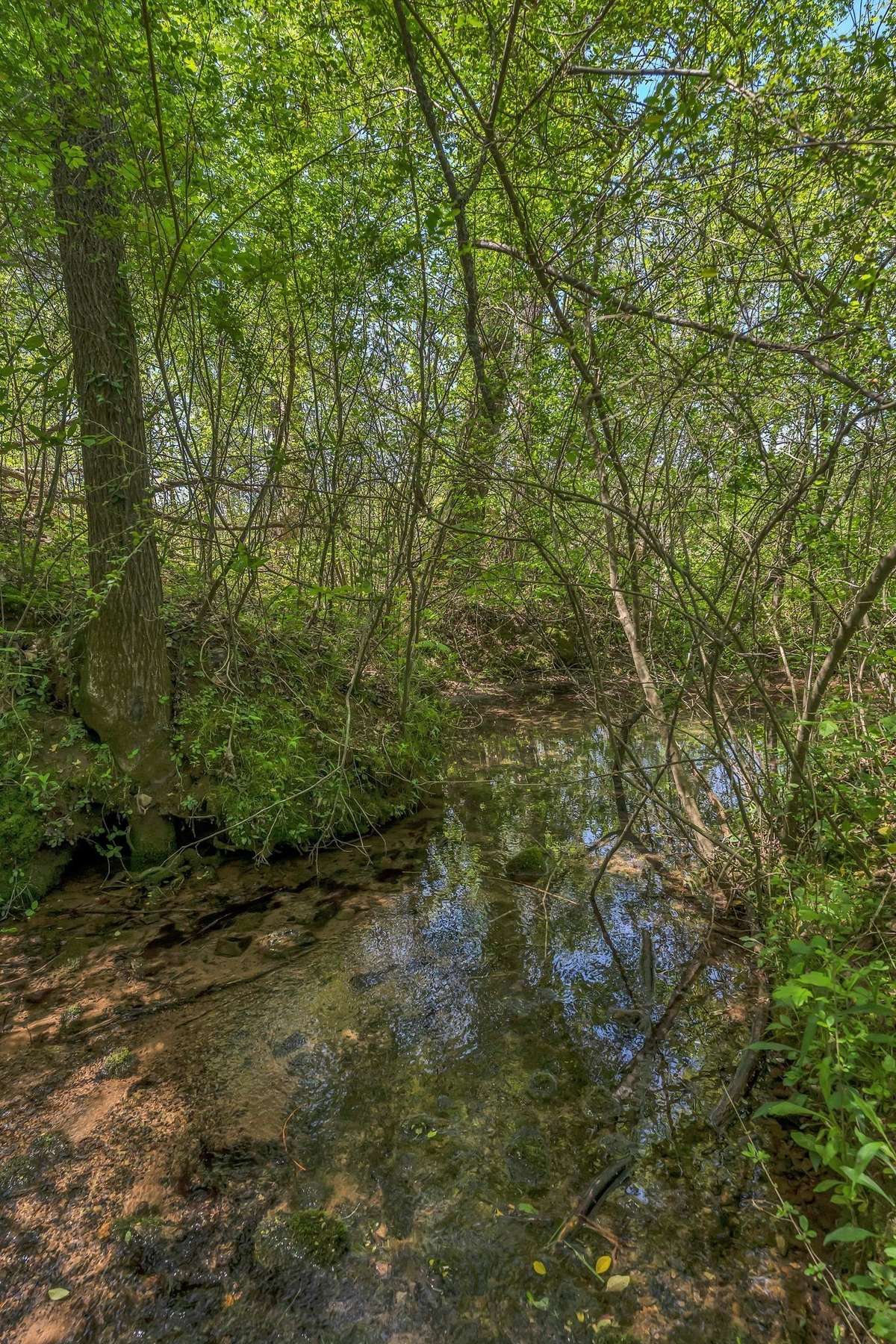 Creek running throughout property