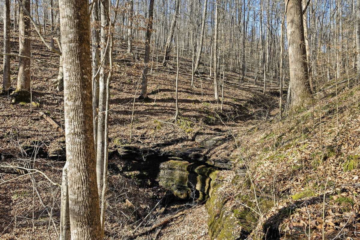 This nearby waterfall can be heard from your back porches/deck. Located just a short walk away on TVA Property.