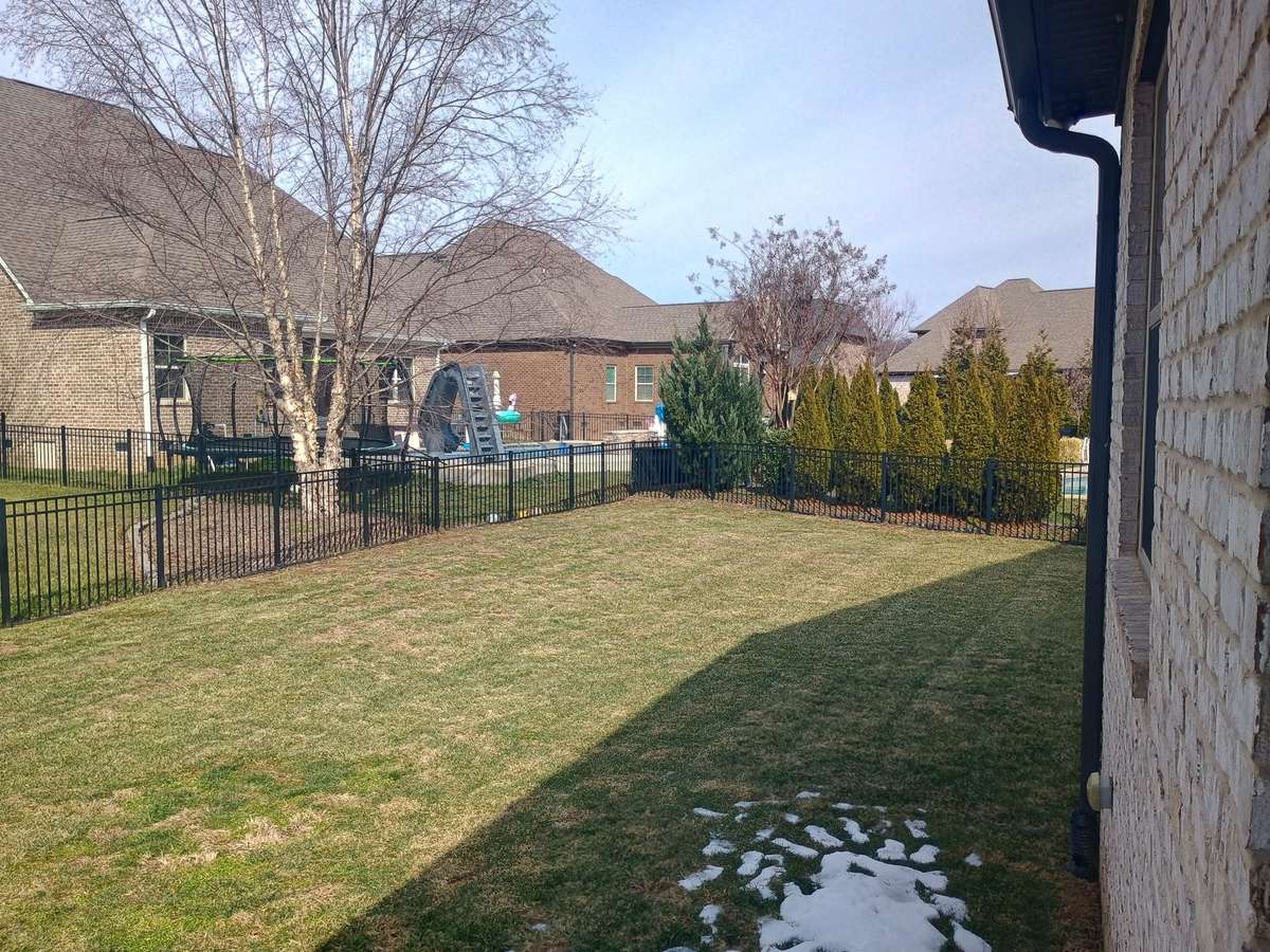 Fenced back yard