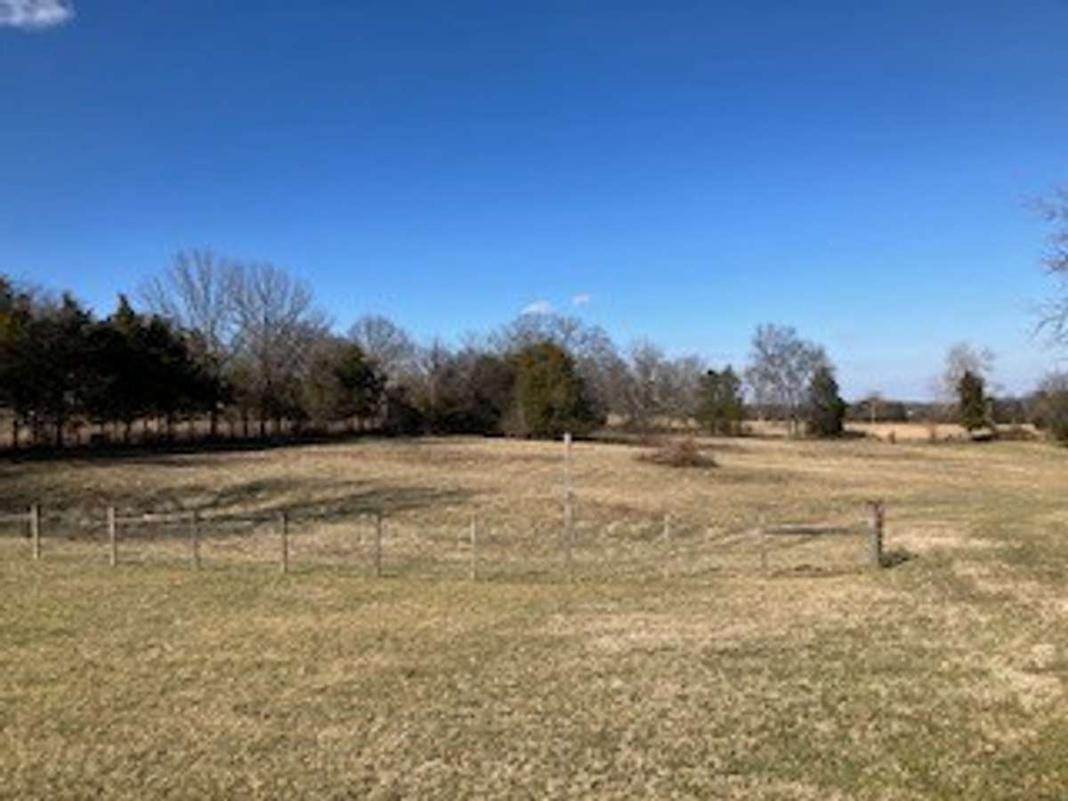 Cleared beautiful land
