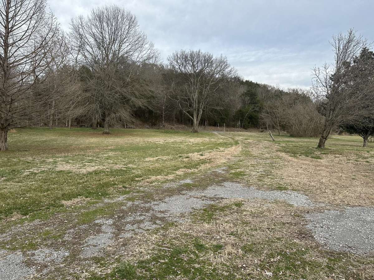 From back yard facing Hwy 41/Manchester Pike