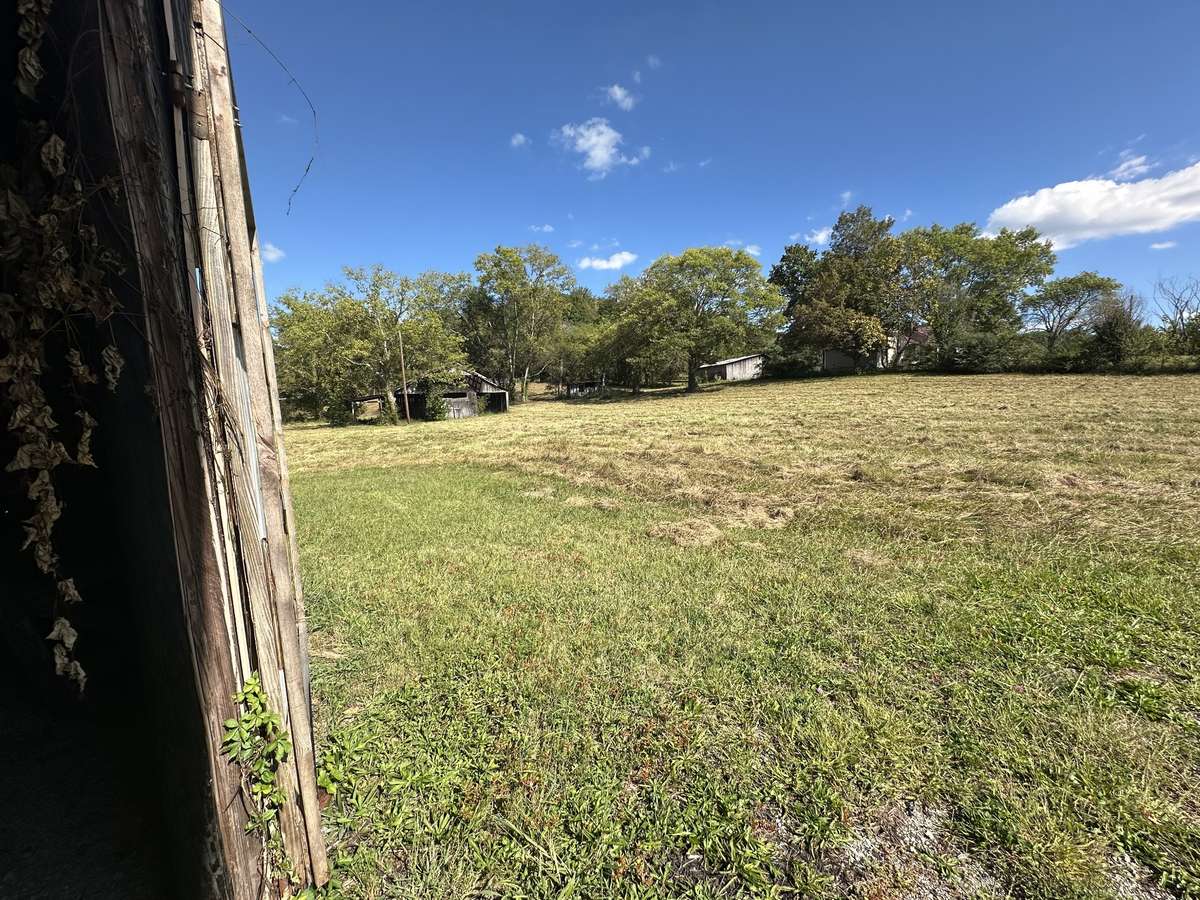 Side/back yard