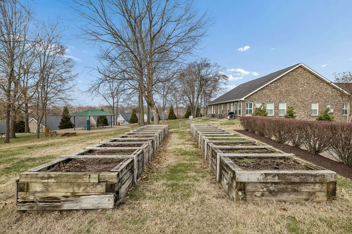 Community Garden!