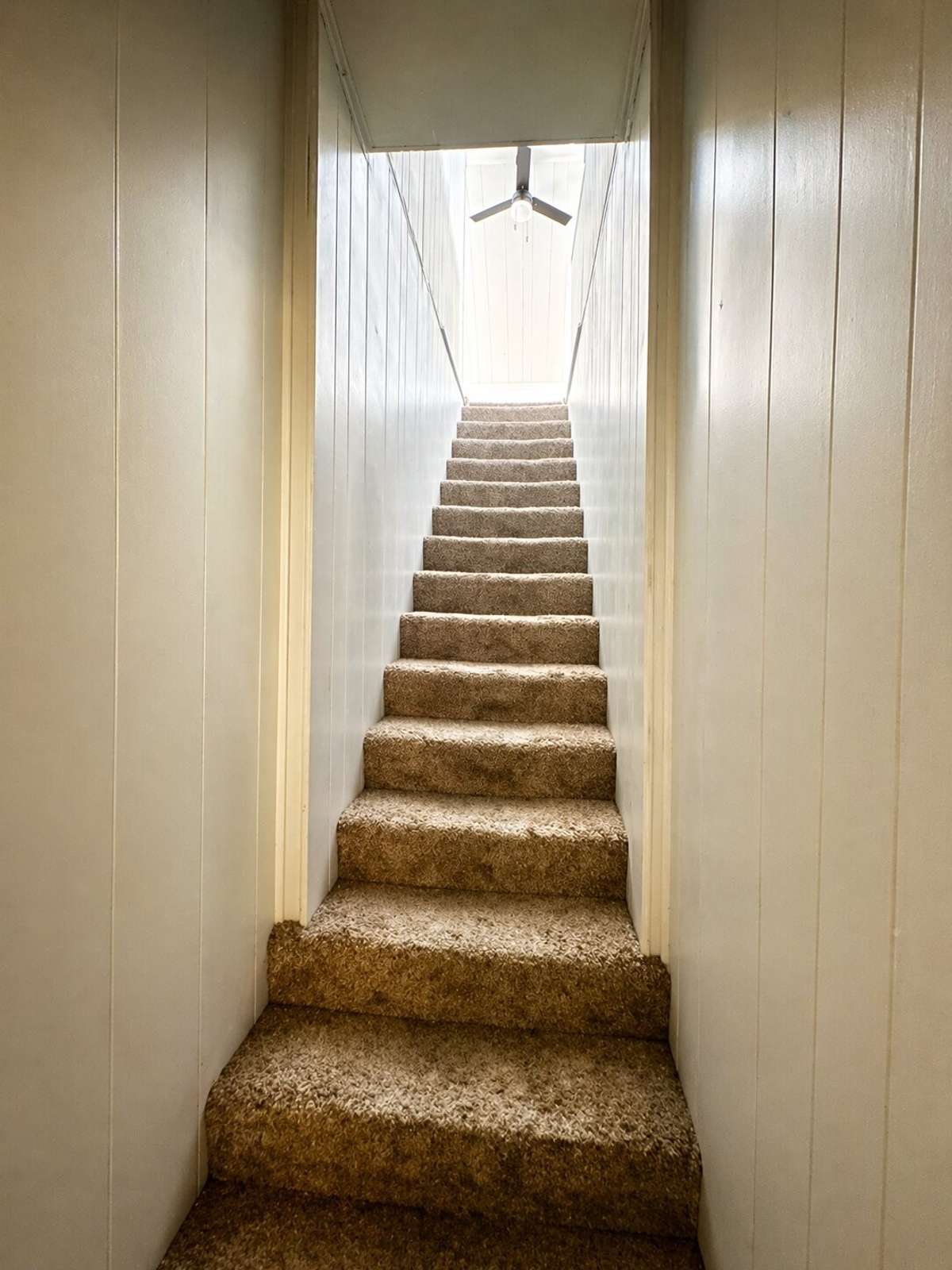 Going upstairs to a large bonus room or could be 2 bedrooms
