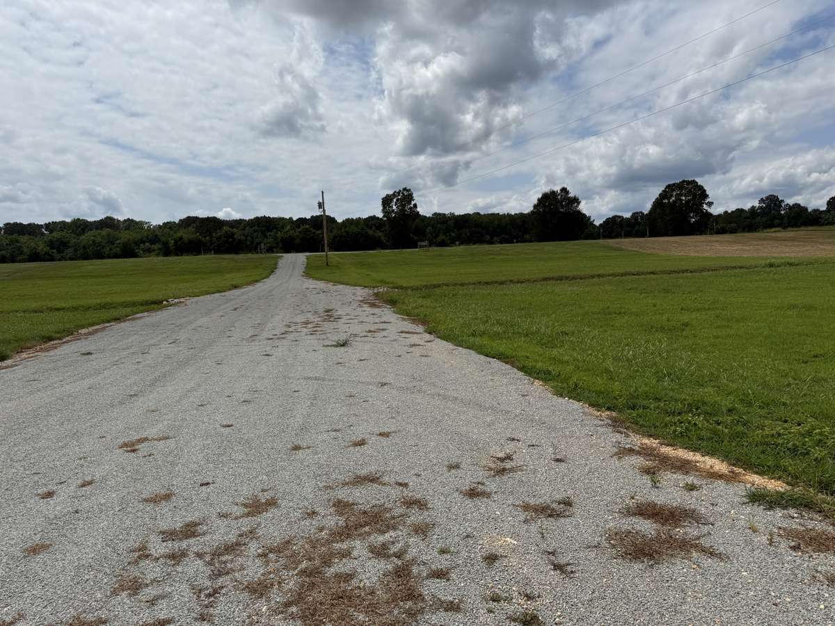 across the street lot B's 5 camper spots! 5 picnic tables and fire pits! internet is ran to the first pole