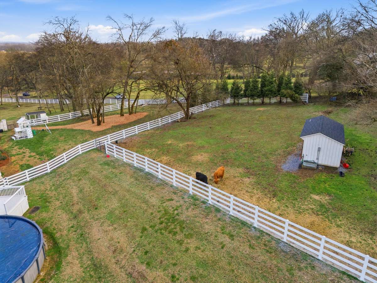 Fully fenced pasture and play area