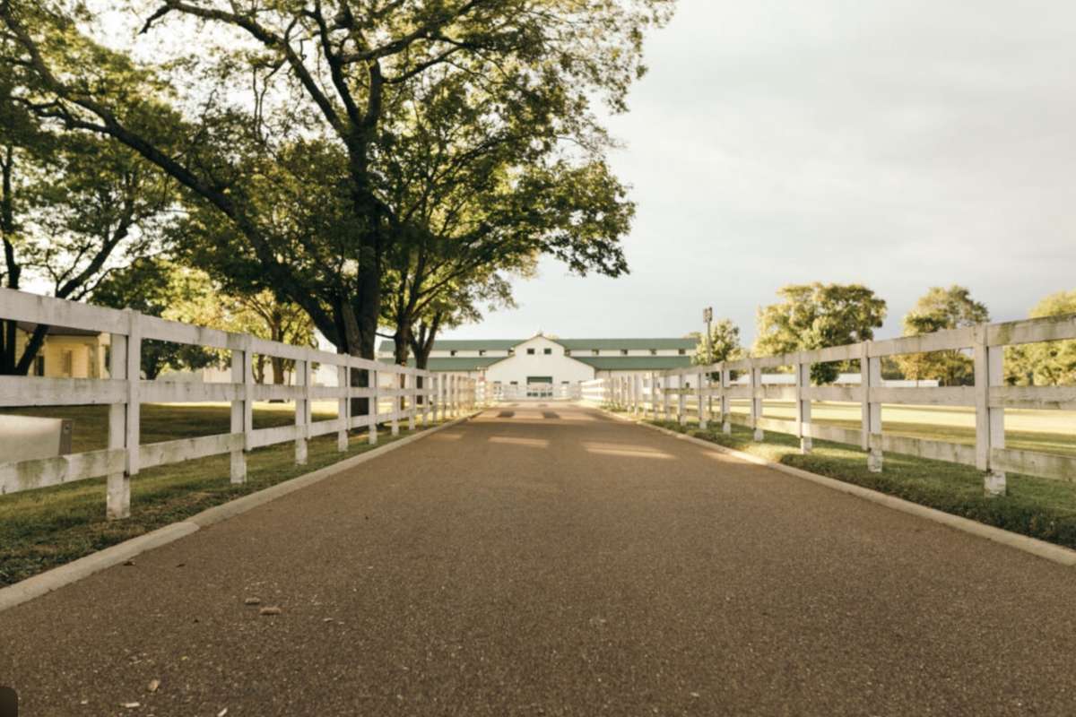Just a few minutes from your doorstep: a historic 200-acre equestrian estate turned public park—complete with a 4-acre off-leash dog area and home of the annual Pilgrimage Festival.