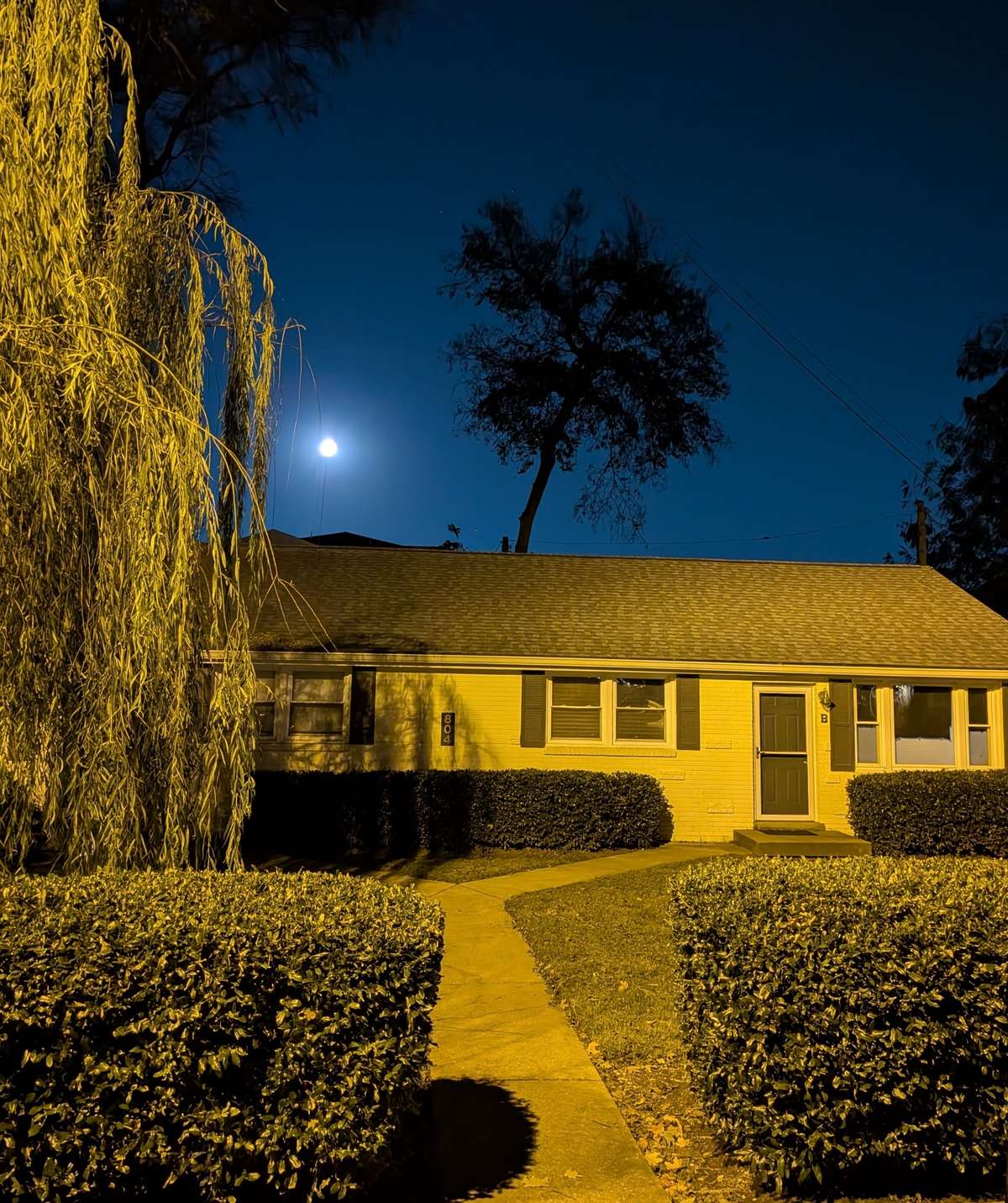 Nighttime view during the summer.