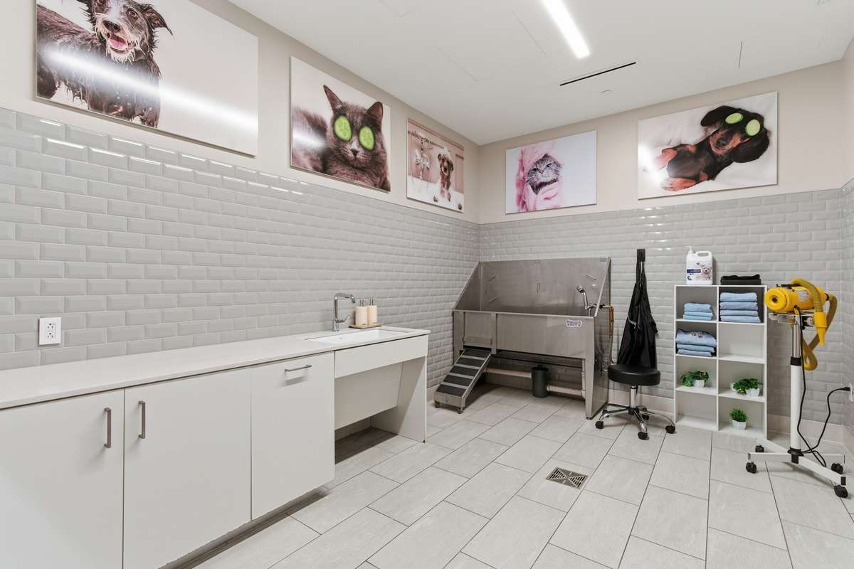 Dog and Cat Spa Private to Residents