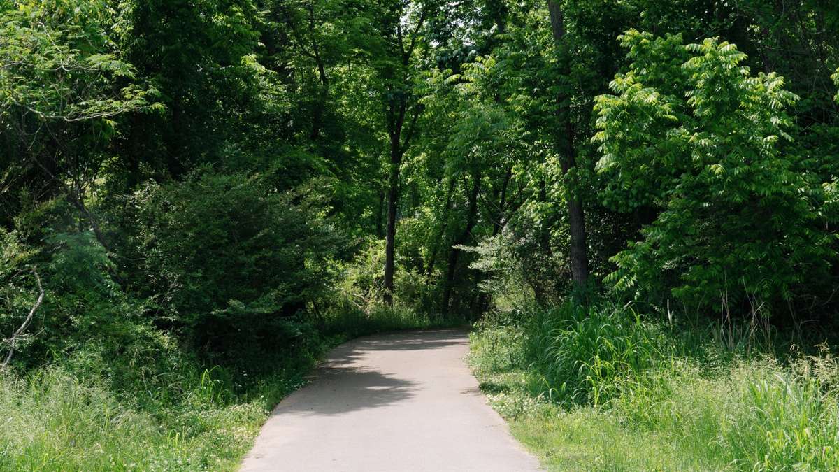 Shelby Bottoms bike trails.